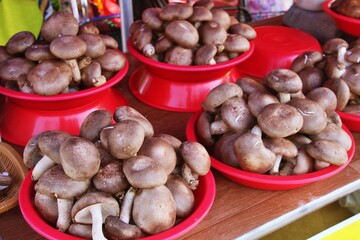mushrooms in a bowl