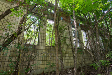 Old building in abandoned village of Chernobyl zone