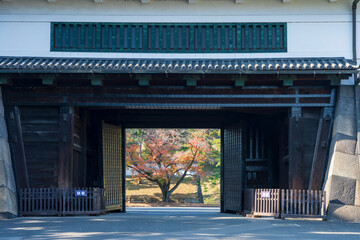 【東京都】都市風景 皇居桜田門と紅葉