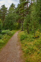 A narrow forest path.Summer cloudy day. The narrow dirt path in the woods. On the sides of the walkway deciduous trees. Russia, landscape, nature, summer