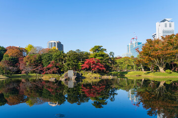 【東京都】秋の紅葉が美しい小石川後楽園