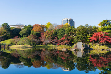 【東京都】秋の紅葉が美しい小石川後楽園