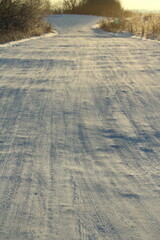 Snow-covered road going into the distance with shrubs and wild plants in sunny frosty day. Romantic magic mood, spirit of winter and Christmas. Stock photo with empty space for text and design