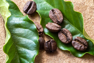 roasted coffee beans with green leaf and white flower on the wooden table in Brazil