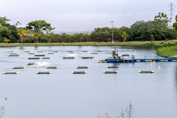 Tanks used for raising tilapia on a fish farm in Brazil