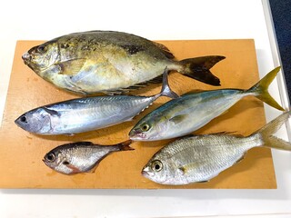 fish on ice