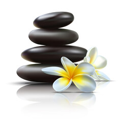 Fototapeta na wymiar Beautiful realistic vector spa set with black massage stones and wild tropical flowers with reflection.