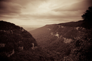 Cloudland Canyon