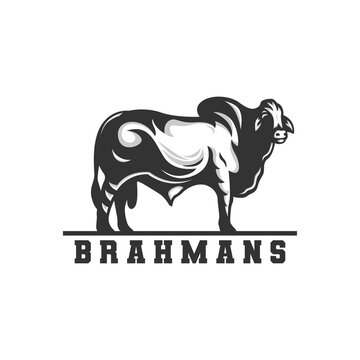 brahman cow logo, vector logo.