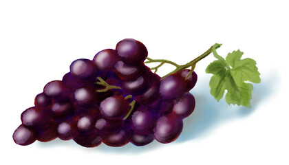 Purple grape with green leaf.