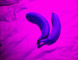 Photo of purple bananas on a pink background