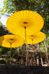 Jungle Tourist destination decorated with Yellow Umbellas