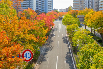 秋の六甲アイランド　兵庫県神戸市東灘区にて