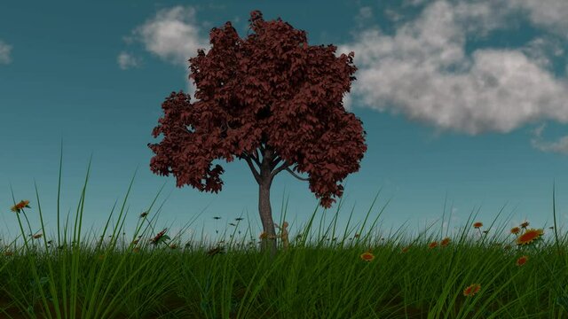 Persona admirando un &aacute;rbol en un paisaje de pasto y flores, c&aacute;mara rotando