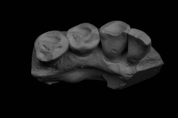 stone teeth isolated black and white photo
