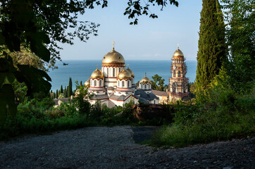 Fototapete bei efototapeten.de bestellen   