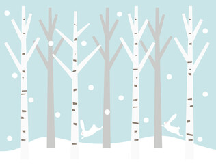 冬の森6　白樺　うさぎ