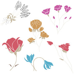 Flowers flat vector illustration set. Floral simple bright and colour picture of garden flowers, rose, poppy, lavender, bell, peony, carnation.