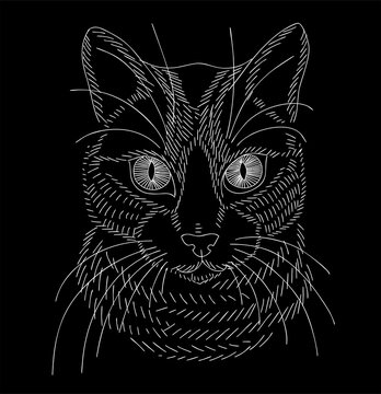 Cute kitten. White chalk sketch on a black background. Portrait on an isolated background. Vector.