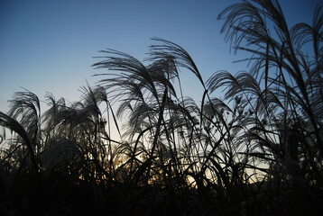 대한민국 순천국제정원박람회