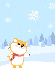Shiba Inu on the forest with snowflake in winter.   Little dog waring scarf stand on the snowfield on the mountain with pine tree.