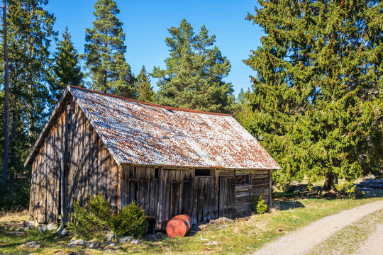 Old weathered barn by a dirt road in the woodland