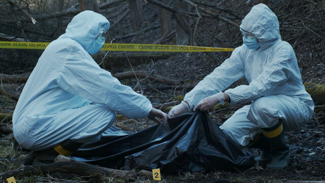 Detectives are collecting evidence in a crime scene. Forensic specialists are making expertise. Police investigation in a forest.