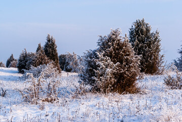 Piękna i mroźna zima na Podlasiu, Polska