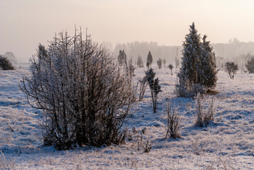 Piękna i mroźna zima na Podlasiu, Polska