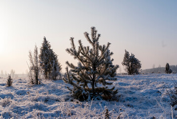Piękna i mroźna zima na Podlasiu, Polska