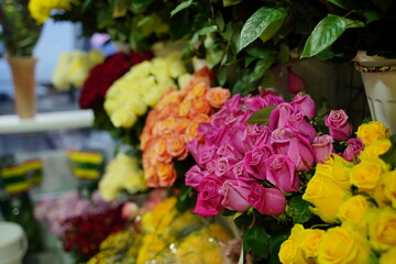 Bouquets of various flowers on counter. Fresh beautiful flowers in florist shop.
