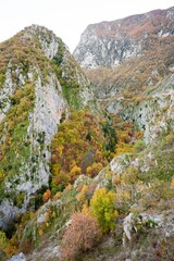 autumn in the mountains with foliage colors