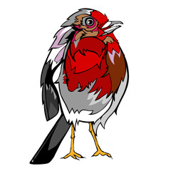 vector image of brightly colored bird on a white background