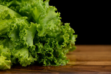 Green lettuce leaves lush with water drop on leaf, black background