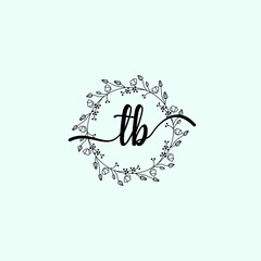 TB Initial handwriting logo template vector 