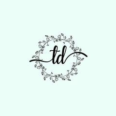 TD Initial handwriting logo template vector 