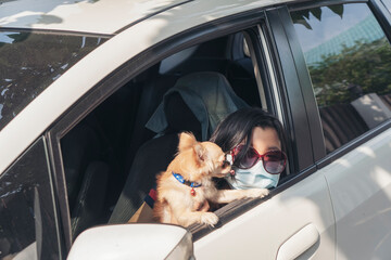 Asian child wearing a mask holding a dog Take a car to go on vacation with family. Cute little kid look at view beside window