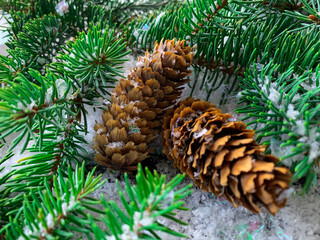Fototapeta premium Christmas background, fir tree with cones in the snow