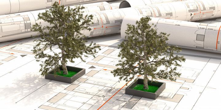 Trees on blueprint. Landcsape architect, house garden design. 3d illustration