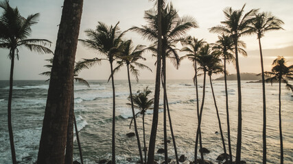 Fototapeta na wymiar Tropikalny krajobraz, palmy na tle oceanu i zachodzącego słońca.