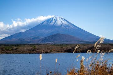 精進湖から眺める冠雪した子抱き富士