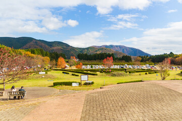 滋賀県 マキノピックランド