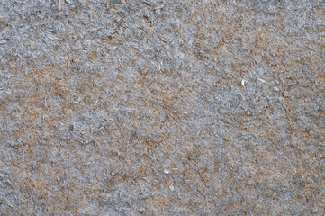 Rough wooden texture of the tree. Background grunge photo.
