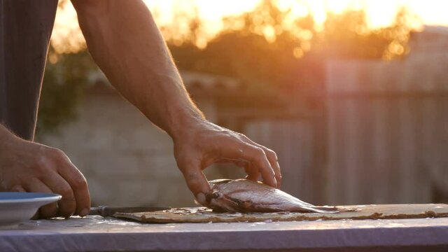 Male strong hands of a fisherman cleans freshly caught live fish opens the stomach and takes out the guts and caviar in a beautiful scenic sunset on nature.
