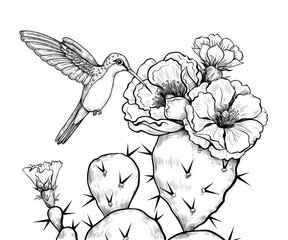 Основные RGB