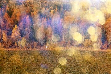 autumn forest landscape, view from a drone, aerial photography viewed from above in October park