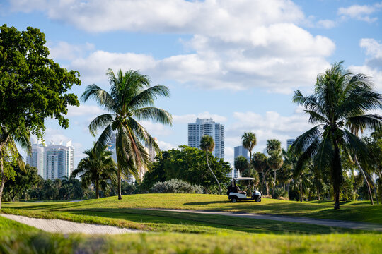 Golf cart on a game course with palm trees