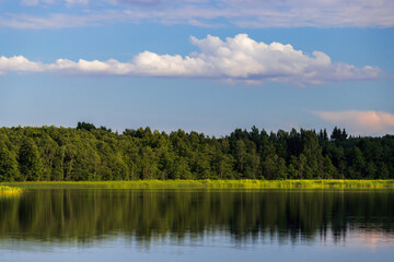 Beautiful forest lake. Summer landscape with trees on the lake shore.