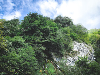 Obraz na płótnie Canvas Green bushes on the rocky hill
