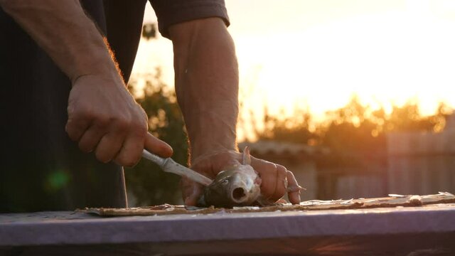 Male strong hands of a fisherman cleans freshly caught live fish cuts off the head in a beautiful scenic sunset on nature.